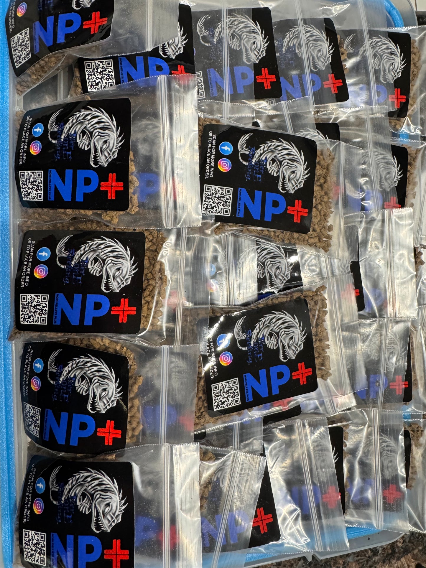 NP Plus