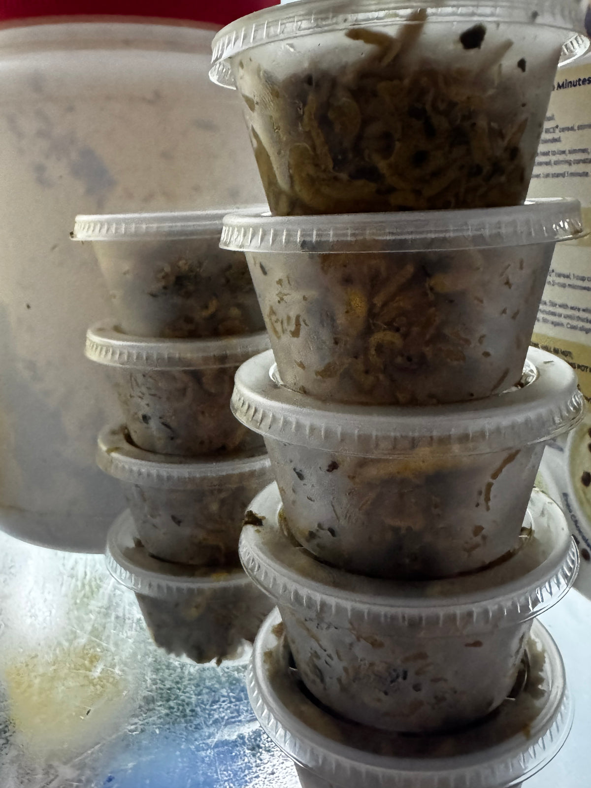 Pre-Soaked Wet Food