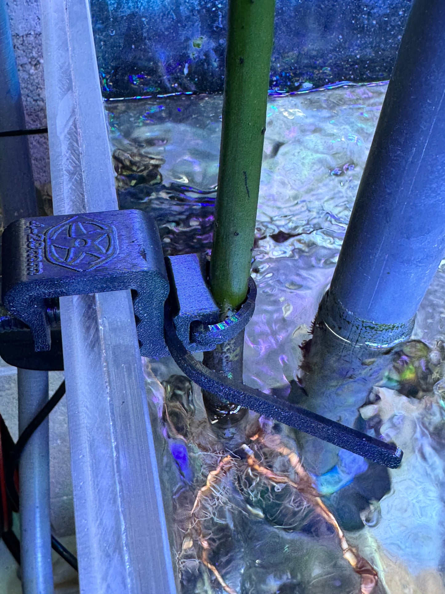Mangrove & Probe Holder